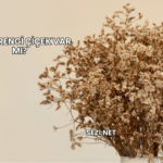 Kahverengi Çiçek Var mı?