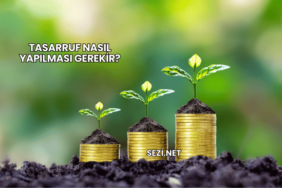 Tasarruf Nasıl Yapılması Gerekir?