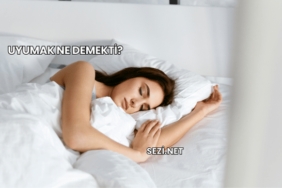 Uyumak Ne Demekti?