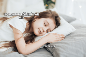Uyumanın Eğitimi Var mı?