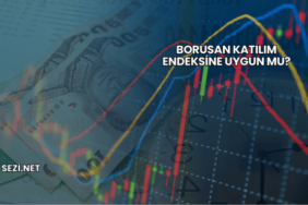 Borusan Katılım Endeksine Uygun mu?