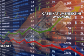 ÇATES Katılım Endeksine Uygun mu?