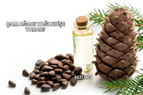 Çam Ağacı Yağı Ne İşe Yarar?