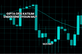 Gıpta Ofis Katılım Endeksine Uygun mu?