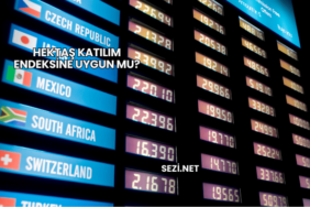 Hektaş Katılım Endeksine Uygun mu?