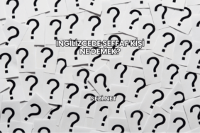 İngilizcede Şeffaf Kişi Ne Demek?