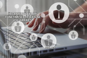 İnsan Kaynakları Yönetimi Sertifikası Ne İşe Yarar?