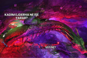 Kadim Ejderha Ne İşe Yarar?