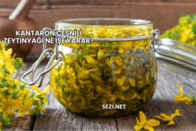 Kantaron Çeşnili Zeytinyağı Ne İşe Yarar?