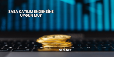 Sasa Katılım Endeksine Uygun mu?