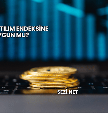 Sasa Katılım Endeksine Uygun mu?