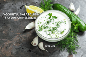 Yoğurtlu Salatalığın Faydaları Nelerdir?