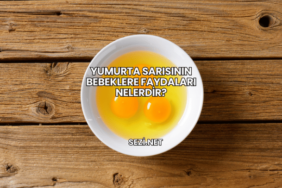 Yumurta Sarısının Bebeklere Faydaları Nelerdir?