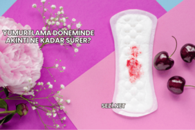 Yumurtlama Döneminde Akıntı Ne Kadar Sürer?