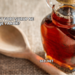 Zinobest Fort Şurup Ne İşe Yarar?