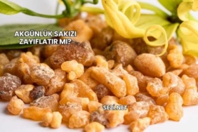 Akgünlük Sakızı Zayıflatır mı?