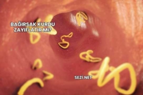 Bağırsak Kurdu Zayıflatır mı?