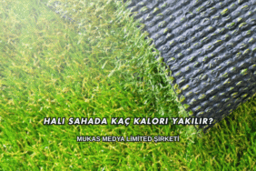 Halı Sahada Kaç Kalori Yakılır?