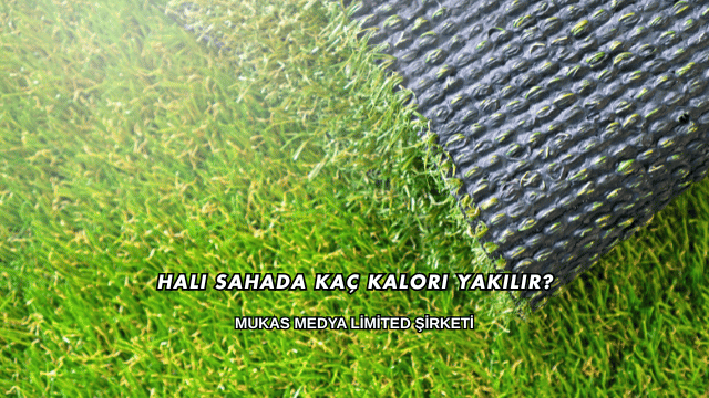 Halı Sahada Kaç Kalori Yakılır?
