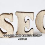 Google Bilgi Paneli Nedir?