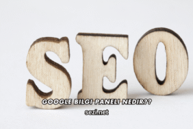 Google Bilgi Paneli Nedir?