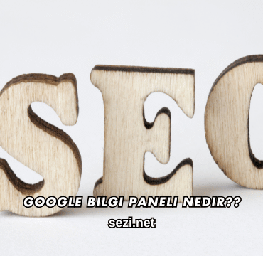 Google Bilgi Paneli Nedir?