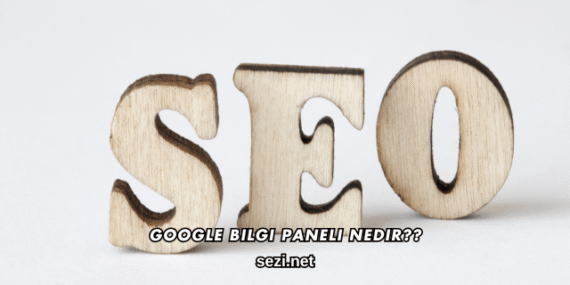 Google Bilgi Paneli Nedir?