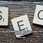 Google Bilgi Panelinin İşletmelere Faydaları Nelerdir?